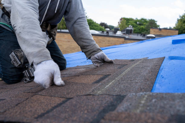 Best New Roof Installation  in Sioux City, IA