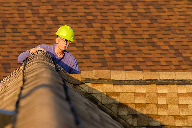 Best Metal Roofing Contractor  in Sioux City, IA
