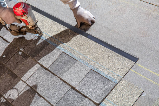 Best Roof Gutter Cleaning  in Sioux City, IA